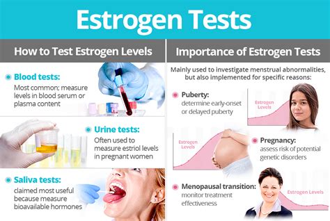 The Estrogen Experiment. 4 months on cross